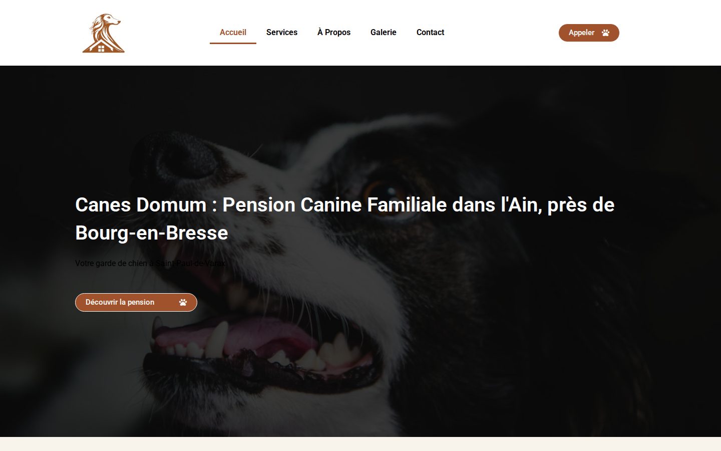 Canes Domum — vue desktop du site