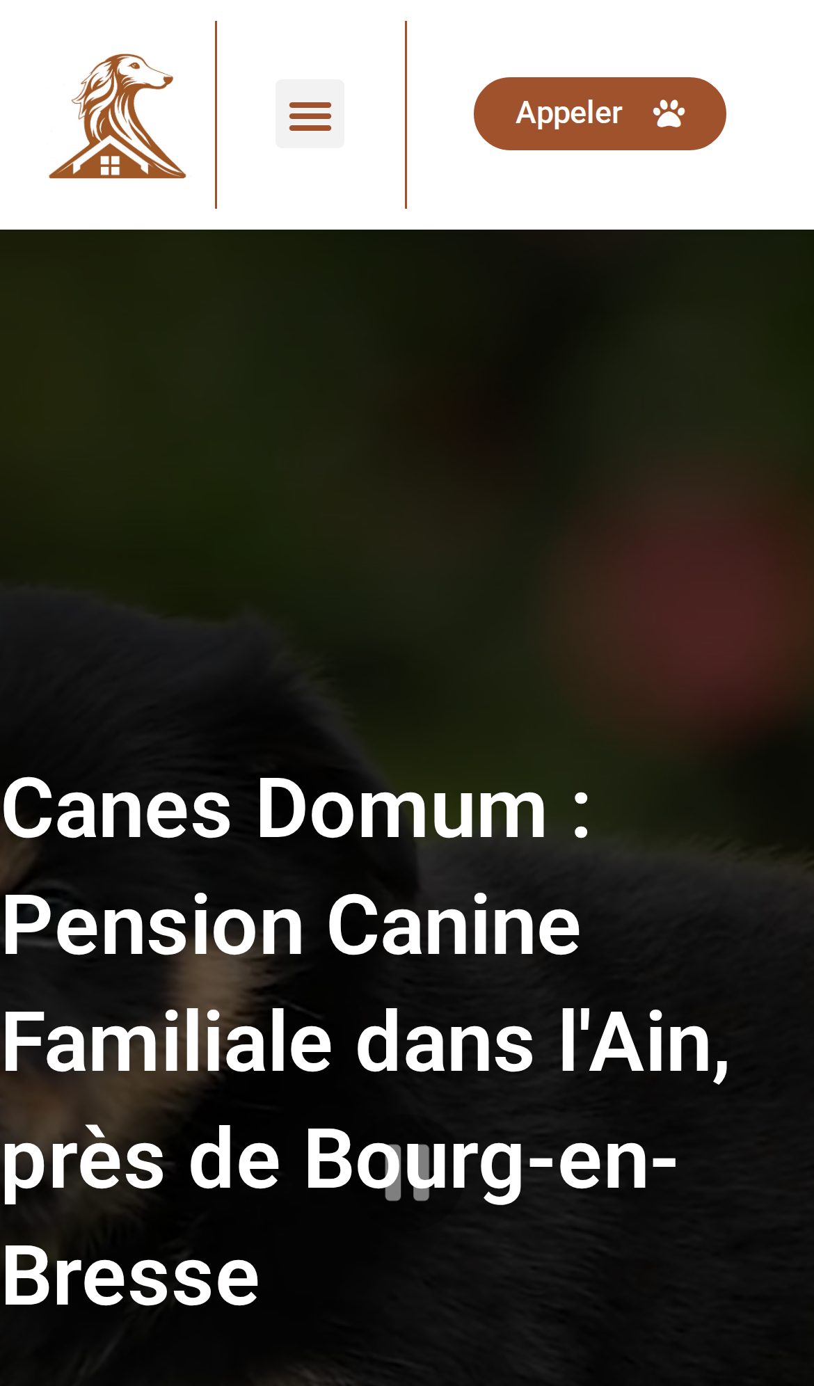 Canes Domum — vue mobile