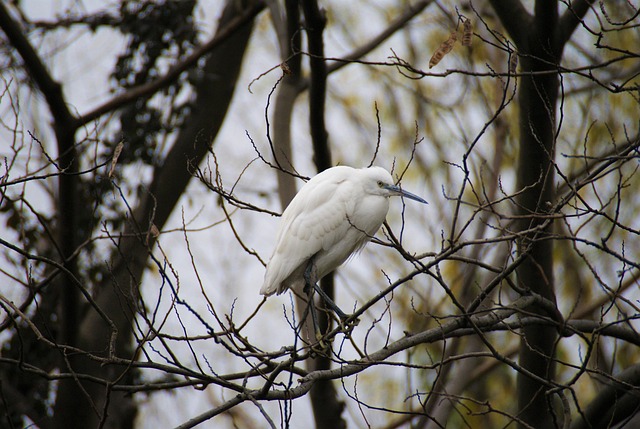 Site internet éco-conçu